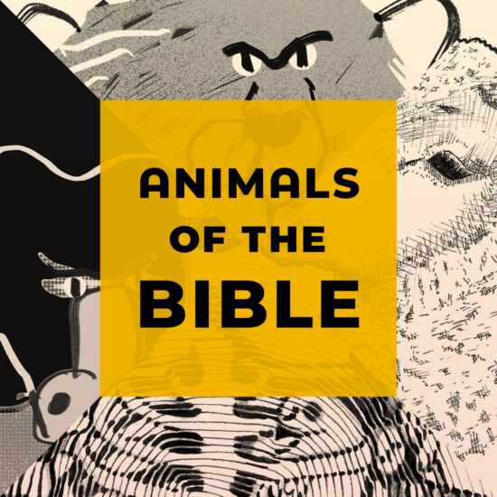 Animals of the Bible graphic