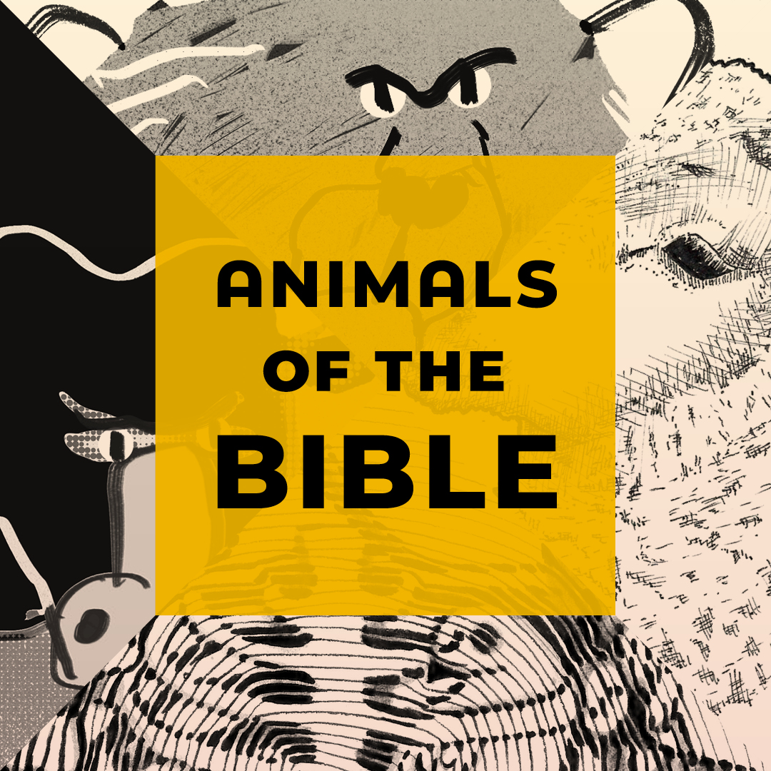 Animals of the Bible Cornerstone Church Kingston